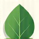 Et stilisert bilde av et grønt blad som symboliserer karbonfotavtrykkreduksjon.